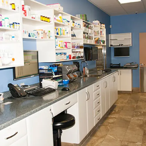 The working space for veterinary staff at Beattie Pet Hospital Ancaster